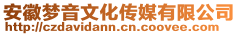 安徽夢音文化傳媒有限公司