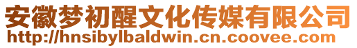 安徽夢初醒文化傳媒有限公司