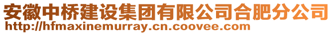 安徽中橋建設(shè)集團(tuán)有限公司合肥分公司