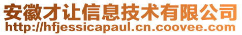 安徽才讓信息技術有限公司