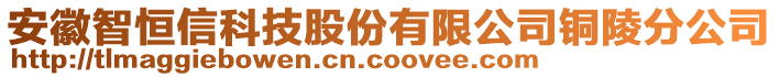 安徽智恒信科技股份有限公司銅陵分公司