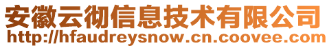 安徽云徹信息技術(shù)有限公司