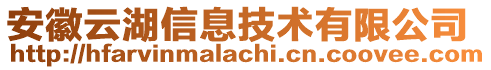 安徽云湖信息技術(shù)有限公司