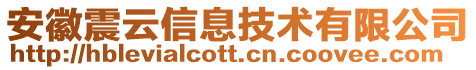 安徽震云信息技術(shù)有限公司