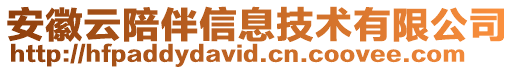 安徽云陪伴信息技術(shù)有限公司