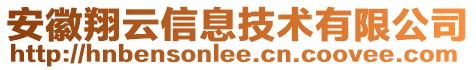 安徽翔云信息技術(shù)有限公司