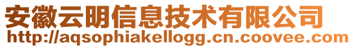 安徽云明信息技術(shù)有限公司