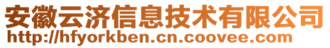 安徽云濟(jì)信息技術(shù)有限公司