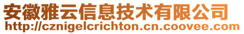 安徽雅云信息技術(shù)有限公司