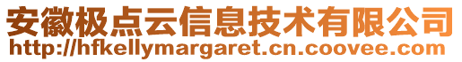 安徽極點云信息技術(shù)有限公司