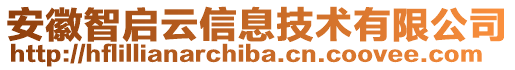 安徽智啟云信息技術(shù)有限公司