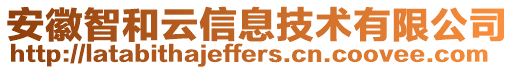 安徽智和云信息技術(shù)有限公司