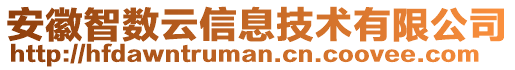 安徽智數(shù)云信息技術有限公司