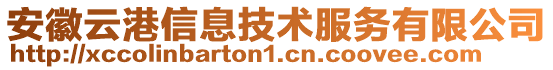 安徽云港信息技術服務有限公司