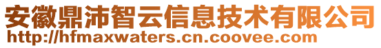 安徽鼎沛智云信息技術(shù)有限公司