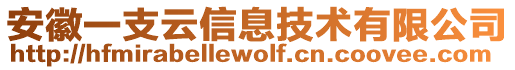 安徽一支云信息技術有限公司