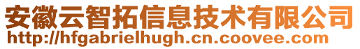 安徽云智拓信息技術(shù)有限公司