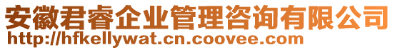 安徽君睿企業(yè)管理咨詢有限公司