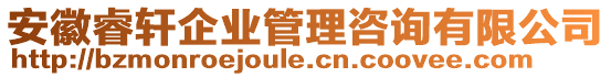 安徽睿軒企業(yè)管理咨詢有限公司