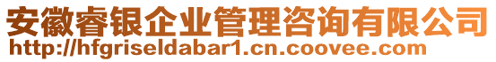 安徽睿銀企業(yè)管理咨詢有限公司