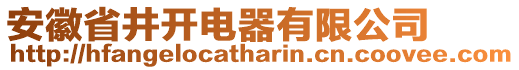 安徽省井開電器有限公司