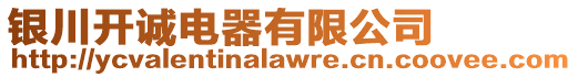 銀川開誠電器有限公司