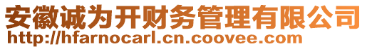 安徽誠(chéng)為開財(cái)務(wù)管理有限公司