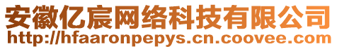 安徽億宸網(wǎng)絡(luò)科技有限公司