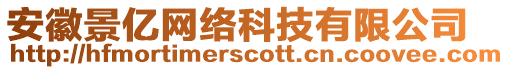 安徽景億網絡科技有限公司