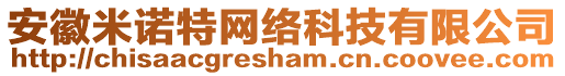 安徽米諾特網絡科技有限公司