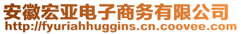 安徽宏亞電子商務(wù)有限公司