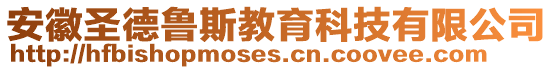 安徽圣德魯斯教育科技有限公司