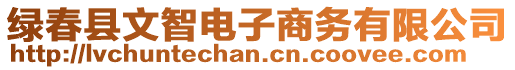 綠春縣文智電子商務(wù)有限公司