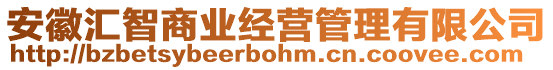 安徽匯智商業(yè)經(jīng)營(yíng)管理有限公司