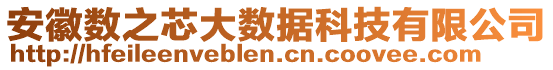 安徽數(shù)之芯大數(shù)據(jù)科技有限公司