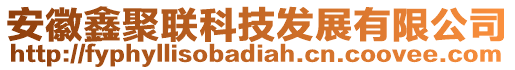 安徽鑫聚聯(lián)科技發(fā)展有限公司