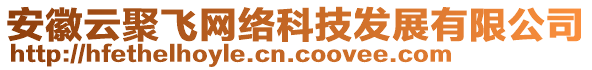 安徽云聚飛網(wǎng)絡(luò)科技發(fā)展有限公司