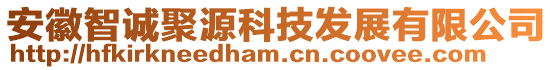 安徽智誠聚源科技發(fā)展有限公司