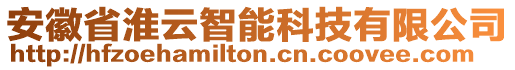 安徽省淮云智能科技有限公司