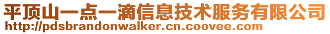 平頂山一點一滴信息技術服務有限公司