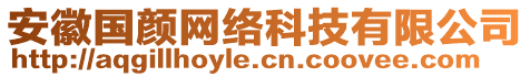 安徽國顏網絡科技有限公司