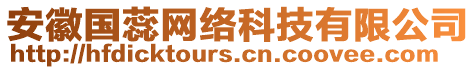 安徽國(guó)蕊網(wǎng)絡(luò)科技有限公司