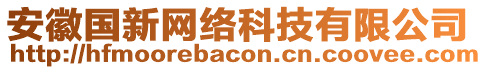 安徽國(guó)新網(wǎng)絡(luò)科技有限公司