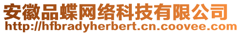 安徽品蝶網(wǎng)絡(luò)科技有限公司