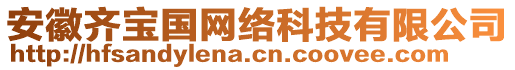 安徽齊寶國網絡科技有限公司