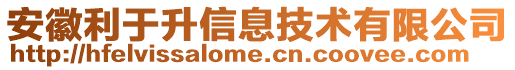 安徽利于升信息技術(shù)有限公司