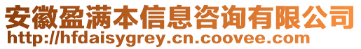 安徽盈滿本信息咨詢有限公司