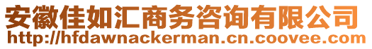 安徽佳如匯商務咨詢有限公司