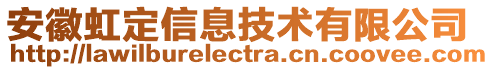 安徽虹定信息技術(shù)有限公司