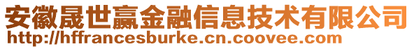 安徽晟世贏金融信息技術(shù)有限公司